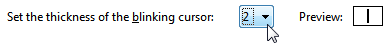 Configure the thickness of your text insertion point cursor